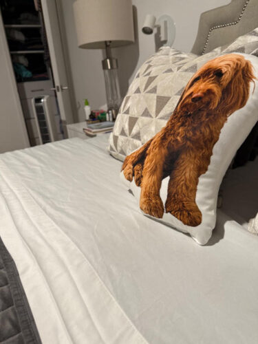 Προσωποποιημένο Μαξιλάρι με Φωτογραφία & Σχήμα Αγαπίνο photo review