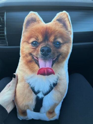 Click to view full screen Προσωποποιημένο Μαξιλάρι με Φωτογραφία & Σχήμα Αγαπίνο photo review