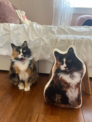 Click to view full screen Προσωποποιημένο Μαξιλάρι με Φωτογραφία & Σχήμα Αγαπίνο photo review