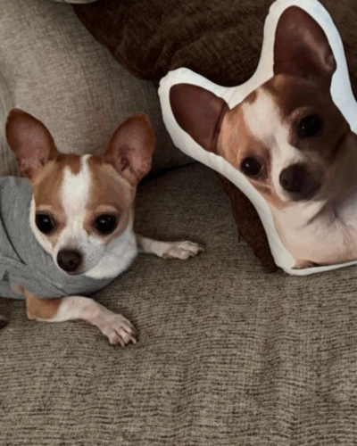 Προσωποποιημένο Μαξιλάρι με Φωτογραφία & Σχήμα Αγαπίνο photo review