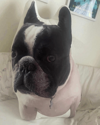 Προσωποποιημένο Μαξιλάρι με Φωτογραφία & Σχήμα Αγαπίνο photo review