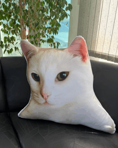 Click to view full screen Προσωποποιημένο Μαξιλάρι με Φωτογραφία & Σχήμα Αγαπίνο photo review