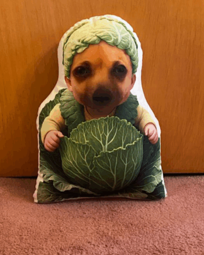 Click to view full screen Προσωποποιημένο Μαξιλάρι με Φωτογραφία & Σχήμα Αγαπίνο photo review