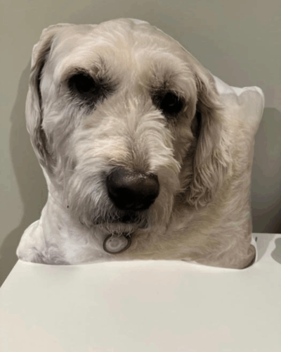 Click to view full screen Προσωποποιημένο Μαξιλάρι με Φωτογραφία & Σχήμα Αγαπίνο photo review