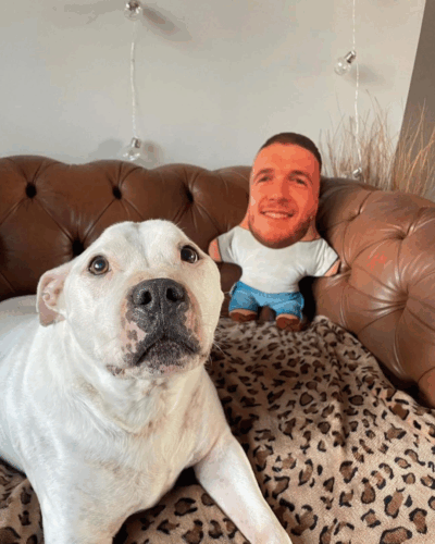 Click to view full screen Μίνι Εγώ – Προσωποποιημένο Μαξιλάρι με Πρόσωπο photo review